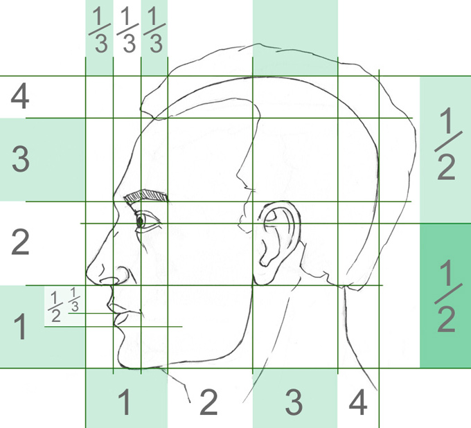 proportions to draw a side view portrait / face